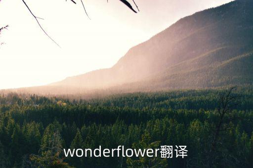 wonderflower翻譯