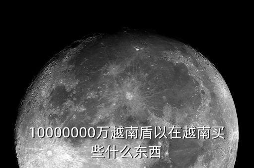 10000000萬越南盾以在越南買些什么東西