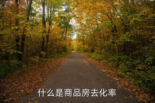 什么是新開樓盤去化率，房產(chǎn)去化率是什么