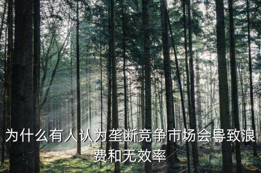 為什么有人認(rèn)為壟斷競爭市場會導(dǎo)致浪費(fèi)和無效率