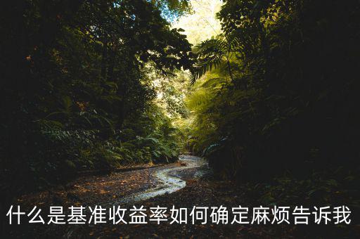 什么是基準(zhǔn)收益率如何確定麻煩告訴我