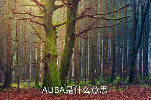 華夏現(xiàn)金增利貨幣a是什么，AUBA是什么意思