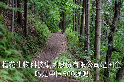 梅花生物是什么板塊，梅花生物科技集團股份有限公司是國企嗎是中國500強嗎