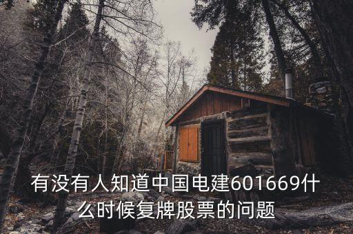 有沒有人知道中國(guó)電建601669什么時(shí)候復(fù)牌股票的問題