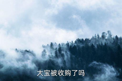 大寶什么時(shí)候被強(qiáng)生收購的，大寶被收購了嗎