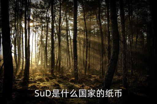 sud是什么貨幣，SUD是什么貨幣單位