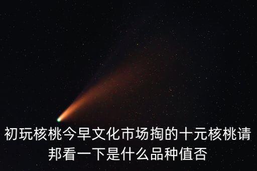 賭核桃是什么品種，請問我這個手玩核桃是什么品種好嗎值多錢