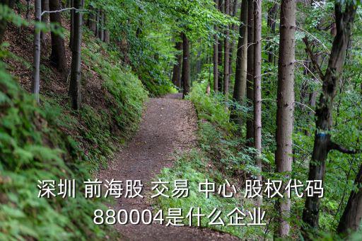 深圳 前海股 交易 中心 股權代碼880004是什么企業(yè)