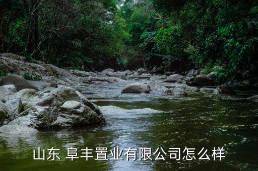 阜豐投資集團怎么樣,本地有哪些公司存在風險?一起來看看!