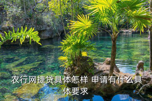 農(nóng)行數(shù)據(jù)網(wǎng)貸怎么申請(qǐng),網(wǎng)貸申請(qǐng)流程