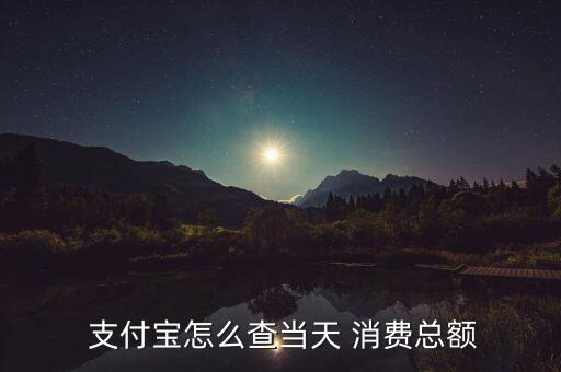  支付寶怎么查當(dāng)天 消費(fèi)總額