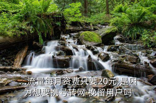 ...流量每月資費(fèi)只要20元,是因?yàn)橄胍獢y號轉(zhuǎn)網(wǎng) 挽留用戶嗎