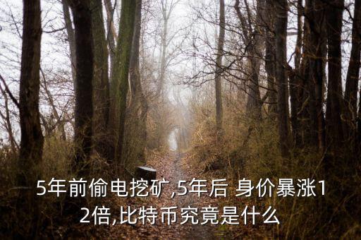 5年前偷電挖礦,5年后 身價暴漲12倍,比特幣究竟是什么