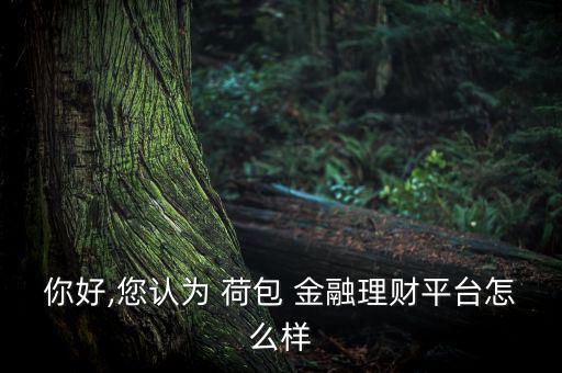 你好,您認(rèn)為 荷包 金融理財(cái)平臺(tái)怎么樣