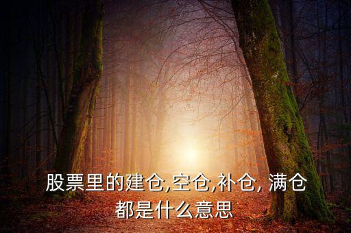 股票滿倉會怎么樣,建倉就是適當(dāng)時候買入股票