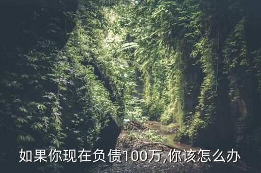 如果你現在負債100萬,你該怎么辦