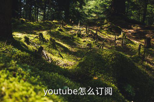  youtube怎么訂閱