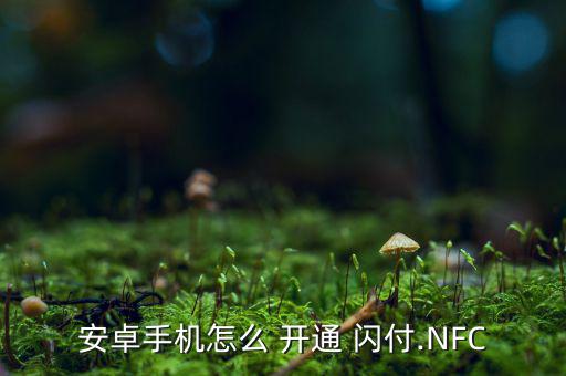 安卓手機怎么 開通 閃付.NFC