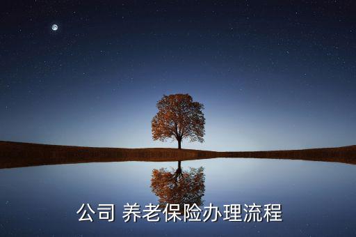 公司怎么辦養(yǎng)老保險,在職參保和繳費(fèi)登記