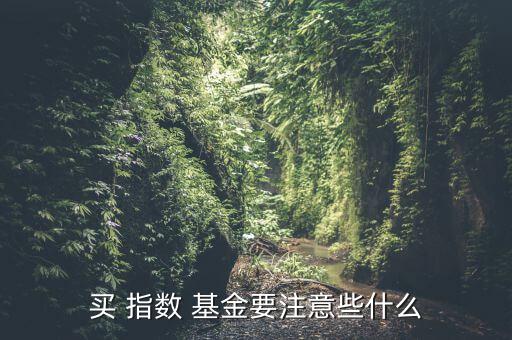 買(mǎi) 指數(shù) 基金要注意些什么