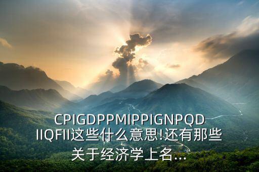 CPIGDPPMIPPIGNPQDIIQFII這些什么意思!還有那些關(guān)于經(jīng)濟學上名...