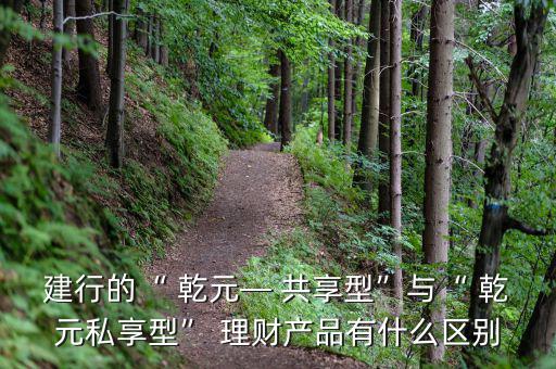 建行的“ 乾元— 共享型”與“ 乾元私享型” 理財產(chǎn)品有什么區(qū)別