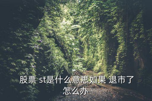 st二重退市股票怎么辦,st前加星號是退市風(fēng)險(xiǎn)提示