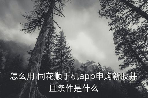 怎么用 同花順手機app申購新股并且條件是什么