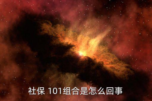 社保 101組合是怎么回事