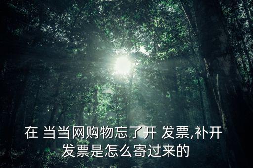 當(dāng)當(dāng)網(wǎng)怎么索要發(fā)票,當(dāng)當(dāng)網(wǎng)自助網(wǎng)上申請服務(wù)發(fā)票系統(tǒng)已上線