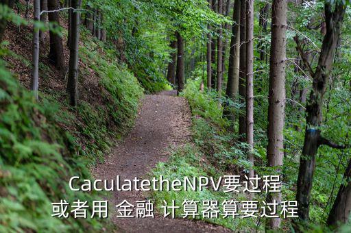 CaculatetheNPV要過程或者用 金融 計算器算要過程