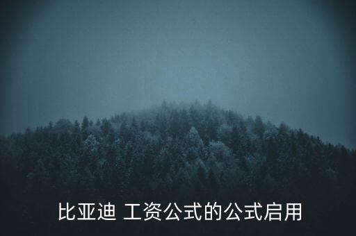  比亞迪 工資公式的公式啟用