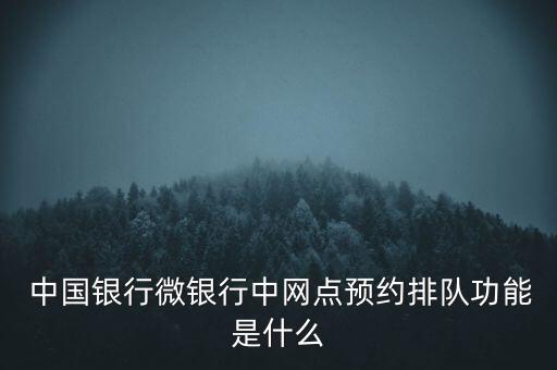 中國銀行微信排號(hào)怎么,怎么綁定中國銀行信用卡?