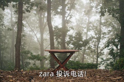 怎么投訴zara,買不到貨!網(wǎng)紅教你如何自我保護