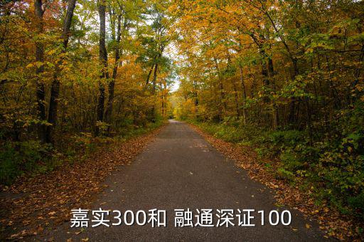 嘉實(shí)300和 融通深證100