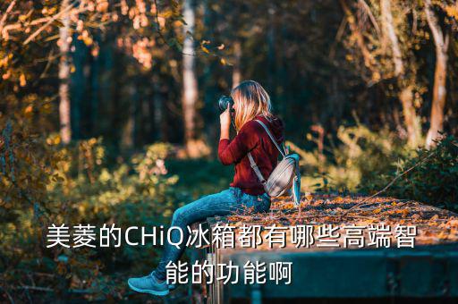  美菱的CHiQ冰箱都有哪些高端智能的功能啊