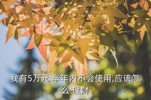 我有5萬元 半年內(nèi)不會(huì)使用,應(yīng)該怎么 理財(cái)