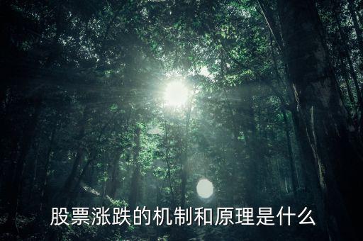 股票怎么才漲,股價漲幅超過5%被認為是大幅上漲