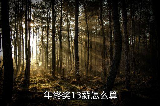  年終獎(jiǎng)13薪怎么算