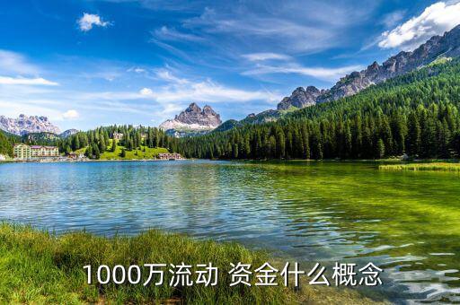  1000萬流動 資金什么概念