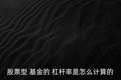 股票型 基金的 杠桿率是怎么計算的