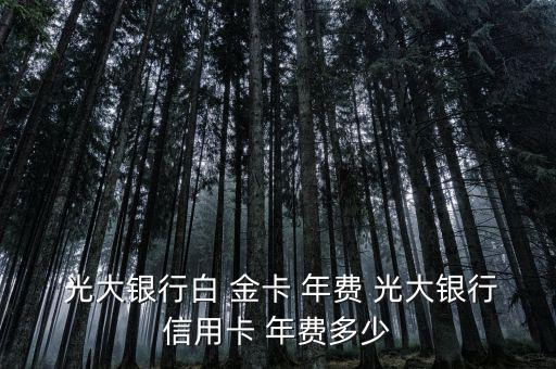  光大銀行白 金卡 年費(fèi) 光大銀行信用卡 年費(fèi)多少