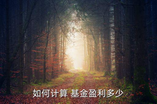 基金的盈虧怎么算,浮動(dòng)盈虧=總份額 凈值-總本金