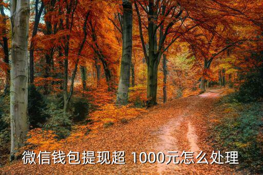 微信錢(qián)包提現(xiàn)超 1000元怎么處理