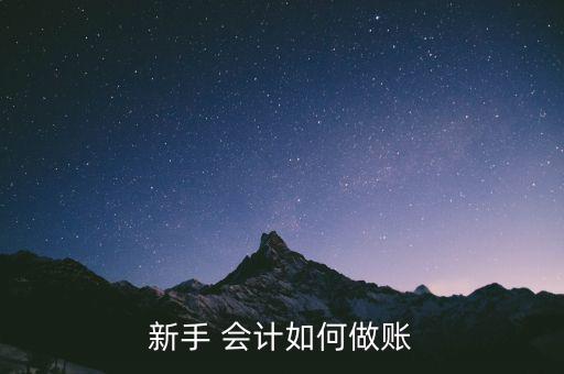 新手 會(huì)計(jì)如何做賬