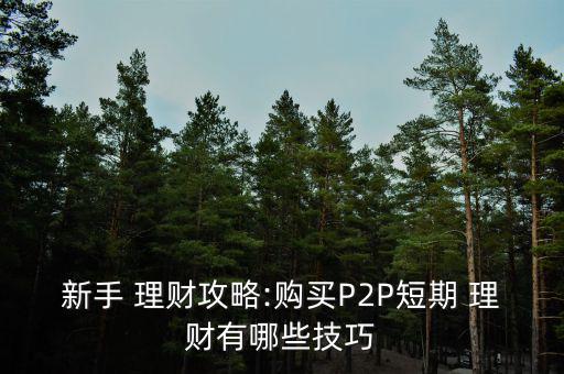 新手 理財攻略:購買P2P短期 理財有哪些技巧