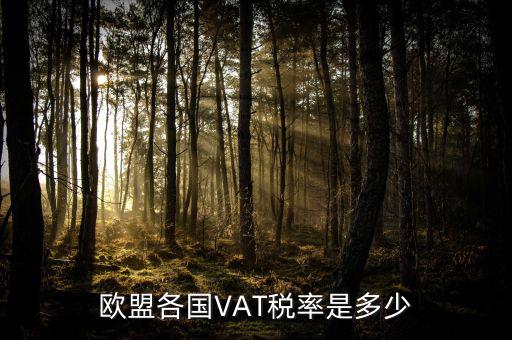 歐盟各國VAT稅率是多少