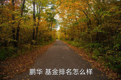 鵬華改革紅利基金怎么樣,鵬華醫(yī)藥以0.6430億元墊底