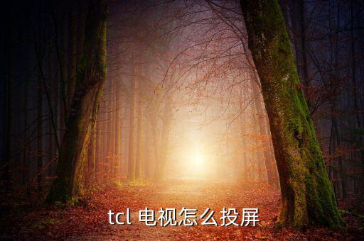 tcl怎么用電視派,如何連接手機(jī)與tcl電視?