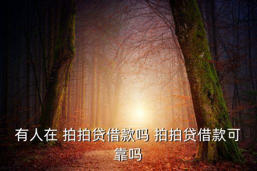 拍拍貸理財怎么樣,上海拍拍貸款金融信息服務有限公司